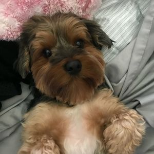 Meet your Posher, Mandy mike